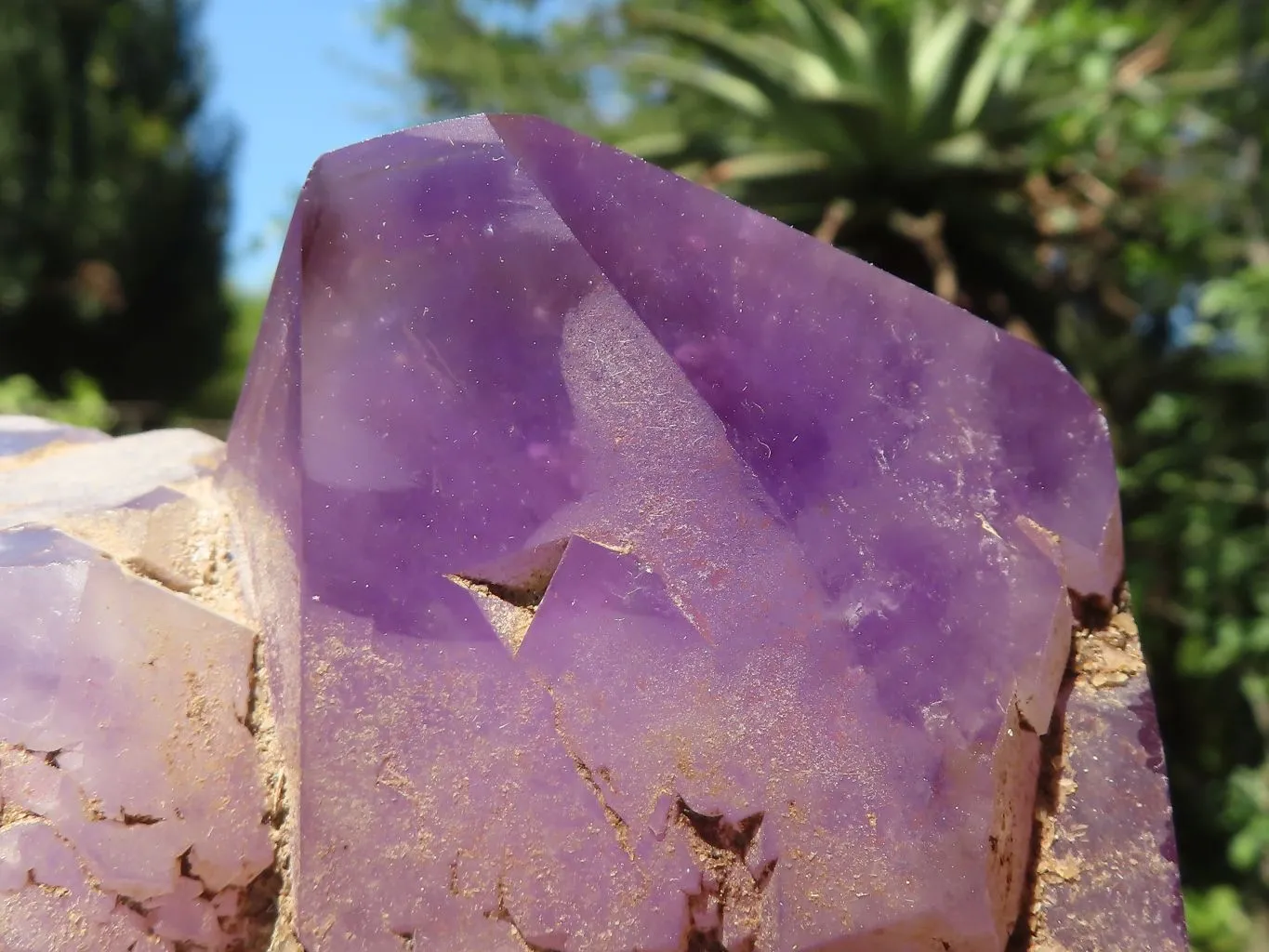 Polished Rare Triple Point Amethyst Crystals x 2 From Madagascar