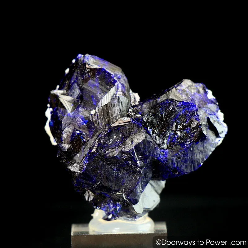 Royal Blue Azurite Heart Mineral Specimen Rosette Congo A     Museum Quality