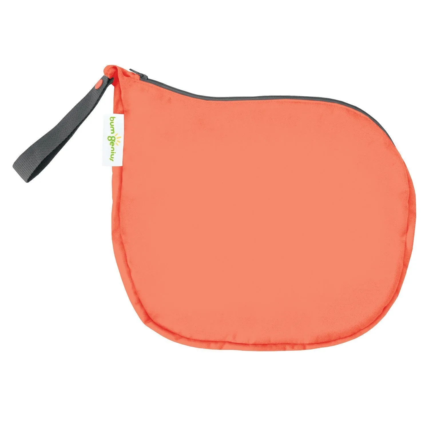SECONDS: bumGenius Outing Wet Bag