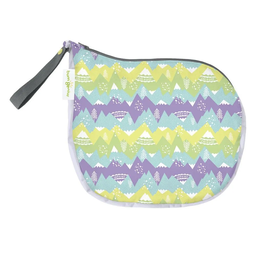 SECONDS: bumGenius Outing Wet Bag