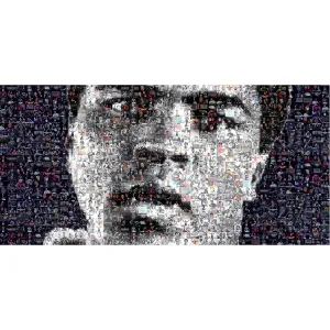 SILVER ALI