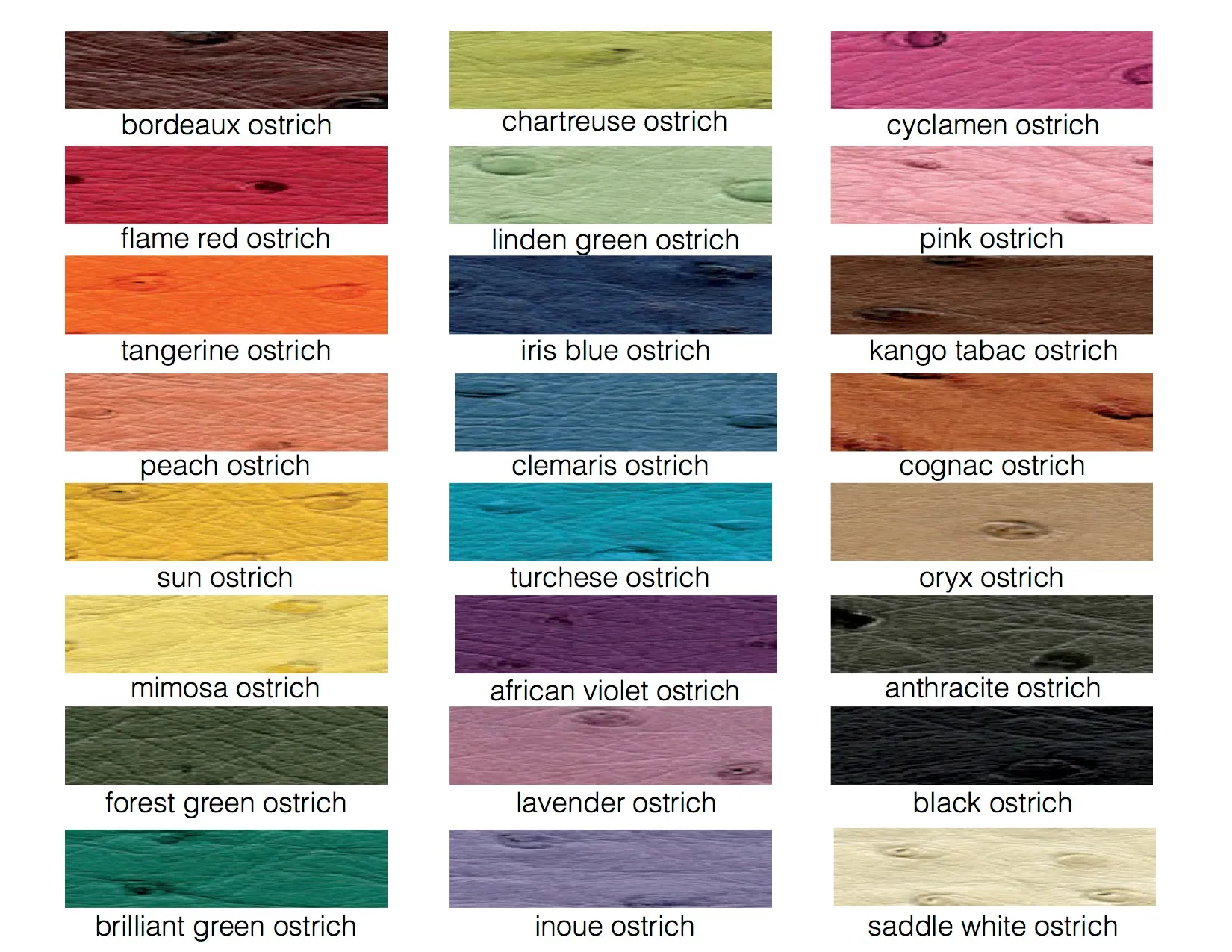 STEPHANIE - ASSORTED COLORS