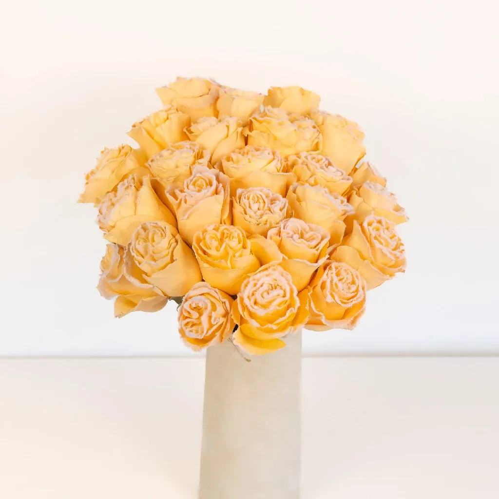 Tinted Peach Fuzzy Roses