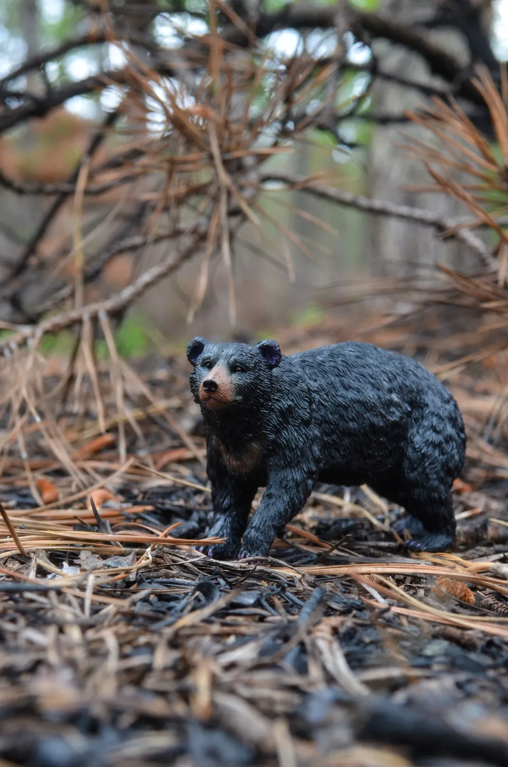 Toymany Black Bear Figurine Toy